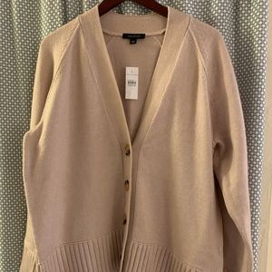 NWT Blush Pink Ann Taylor V-Neck Sweater